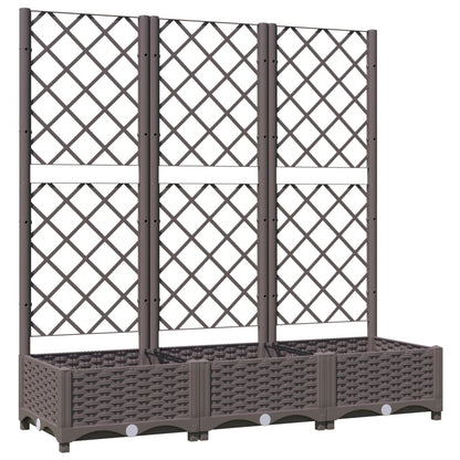 Plantenbak Met Latwerk 20X40X2,5 Cm Polypropeen 120 x 40 x 121.5 cm Bruin