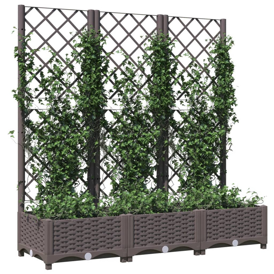 Plantenbak Met Latwerk 20X40X2,5 Cm Polypropeen 120 x 40 x 121.5 cm Bruin