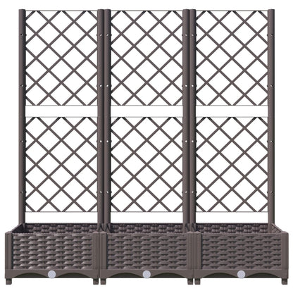 Plantenbak Met Latwerk 20X40X2,5 Cm Polypropeen 120 x 40 x 121.5 cm Bruin