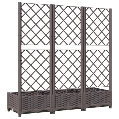 Plantenbak Met Latwerk 20X40X2,5 Cm Polypropeen 120 x 40 x 121.5 cm Bruin