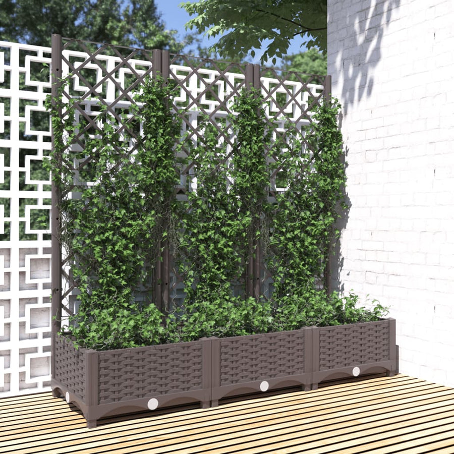 Plantenbak Met Latwerk 20X40X2,5 Cm Polypropeen 120 x 40 x 121.5 cm Bruin