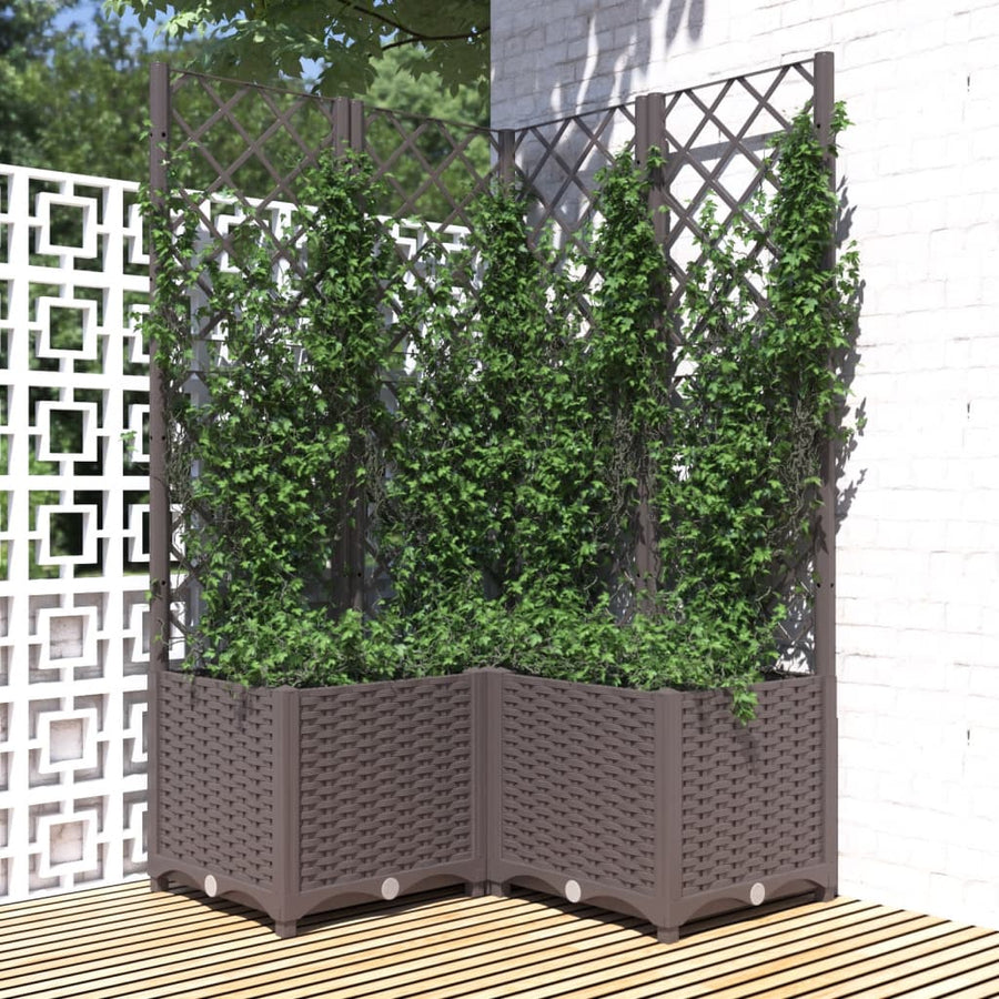 Plantenbak Met Latwerk Polypropeen 80 x 80 x 136 cm Bruin