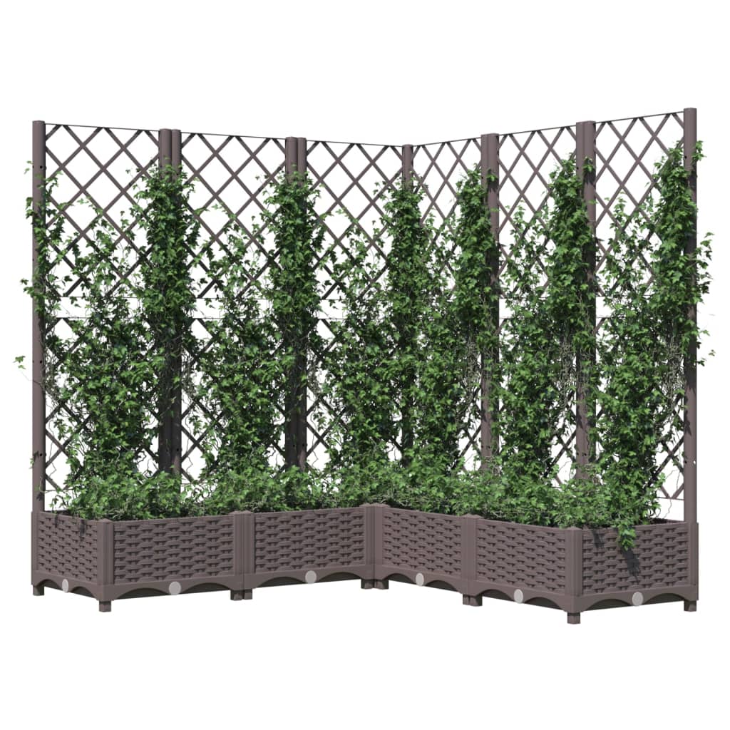 Plantenbak Met Latwerk 20X20X2,5 Cm Polypropeen 120 x 120 x 121.5 cm Bruin