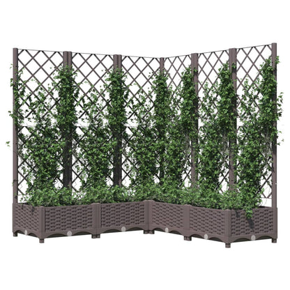 Plantenbak Met Latwerk 20X20X2,5 Cm Polypropeen 120 x 120 x 121.5 cm Bruin