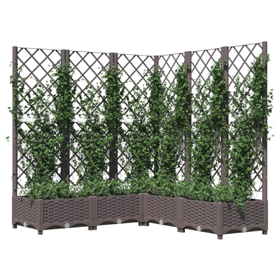 Plantenbak Met Latwerk 20X20X2,5 Cm Polypropeen 120 x 120 x 121.5 cm Bruin