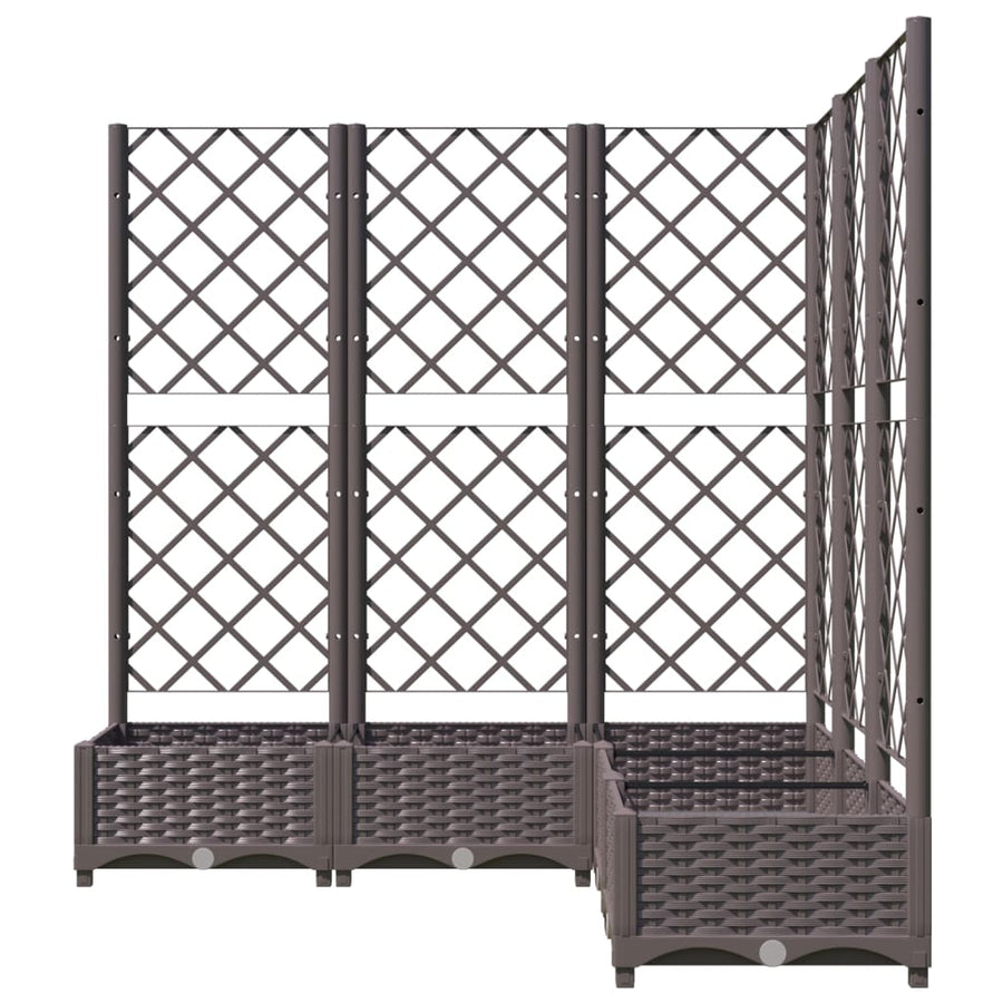 Plantenbak Met Latwerk 20X20X2,5 Cm Polypropeen 120 x 120 x 121.5 cm Bruin
