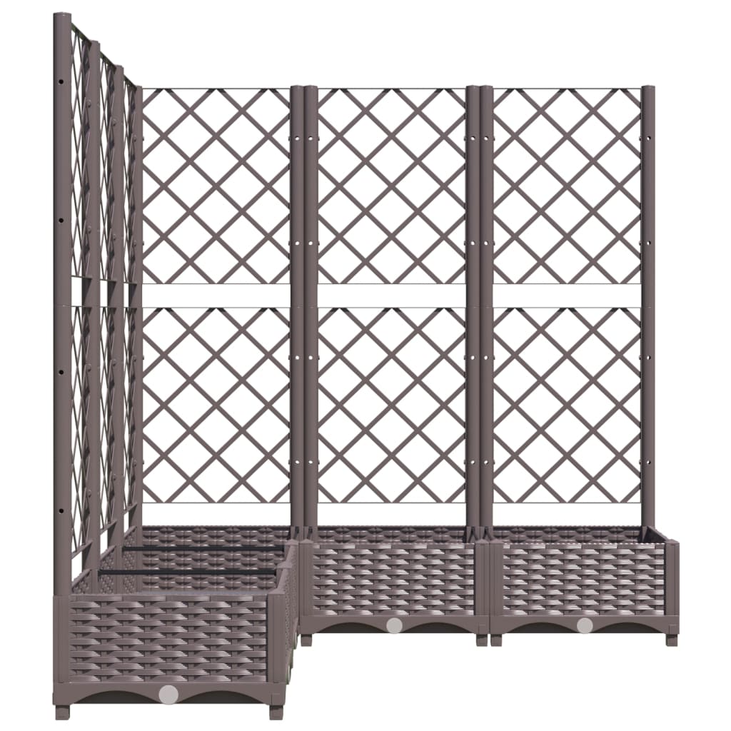 Plantenbak Met Latwerk 20X20X2,5 Cm Polypropeen 120 x 120 x 121.5 cm Bruin
