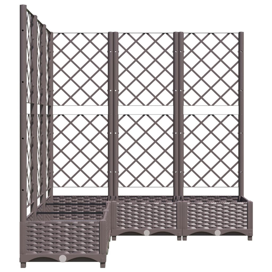 Plantenbak Met Latwerk 20X20X2,5 Cm Polypropeen 120 x 120 x 121.5 cm Bruin