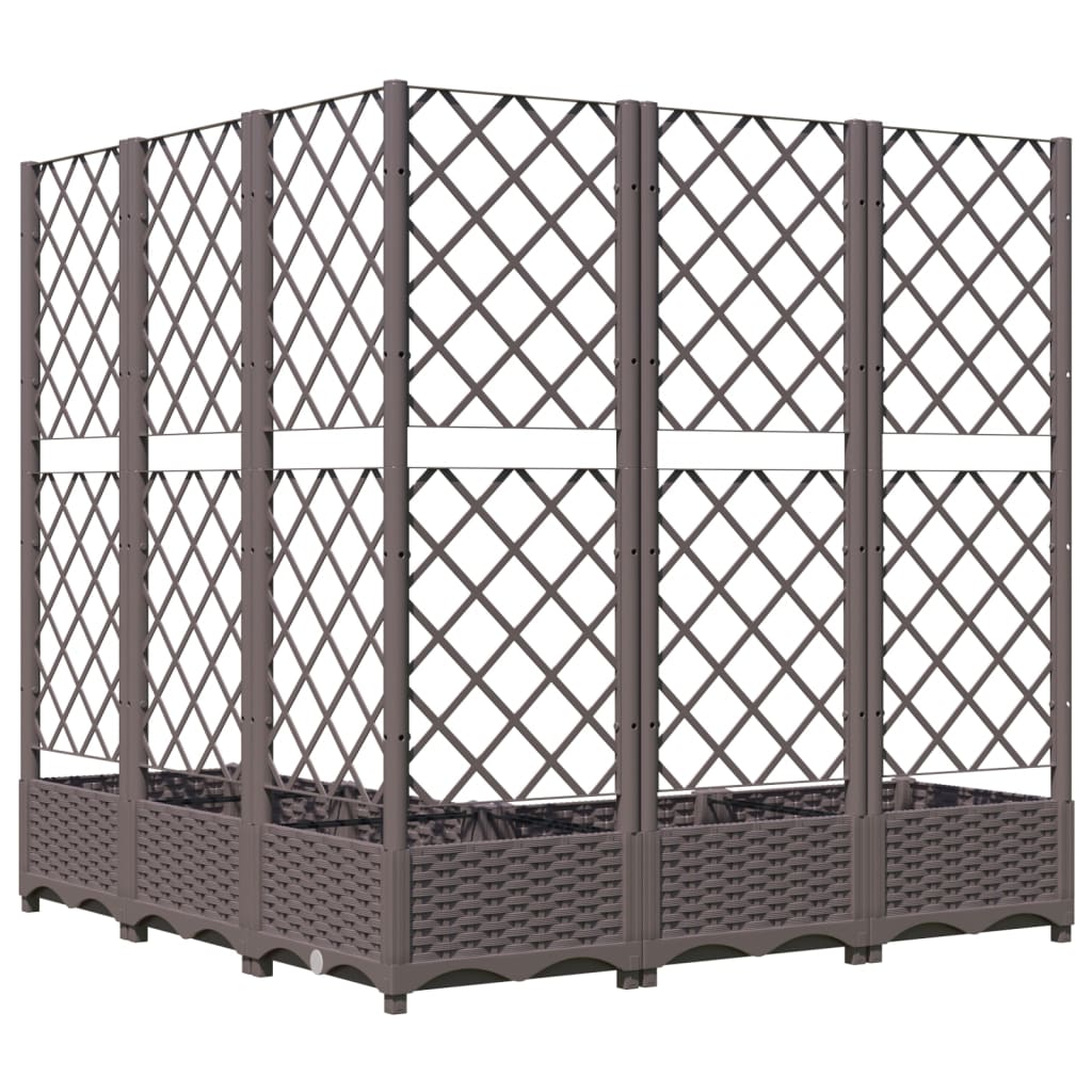 Plantenbak Met Latwerk 20X20X2,5 Cm Polypropeen 120 x 120 x 121.5 cm Bruin
