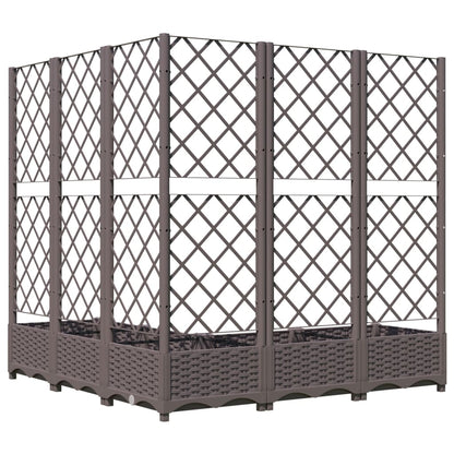 Plantenbak Met Latwerk 20X20X2,5 Cm Polypropeen 120 x 120 x 121.5 cm Bruin