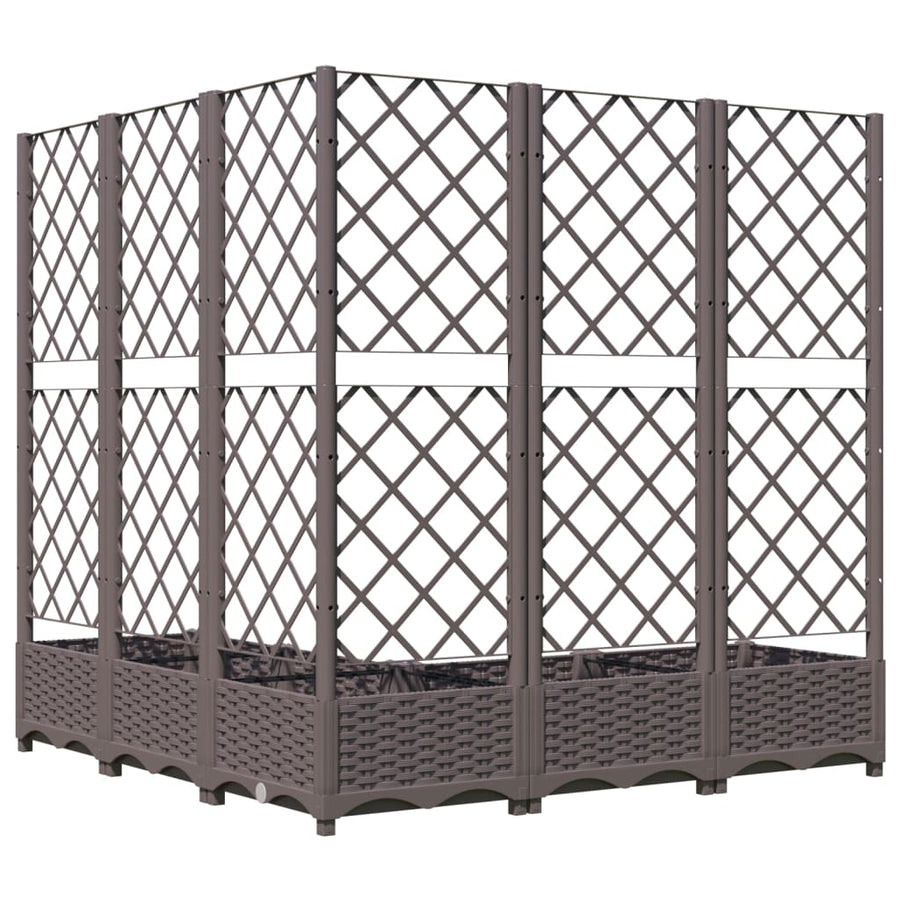 Plantenbak Met Latwerk 20X20X2,5 Cm Polypropeen 120 x 120 x 121.5 cm Bruin