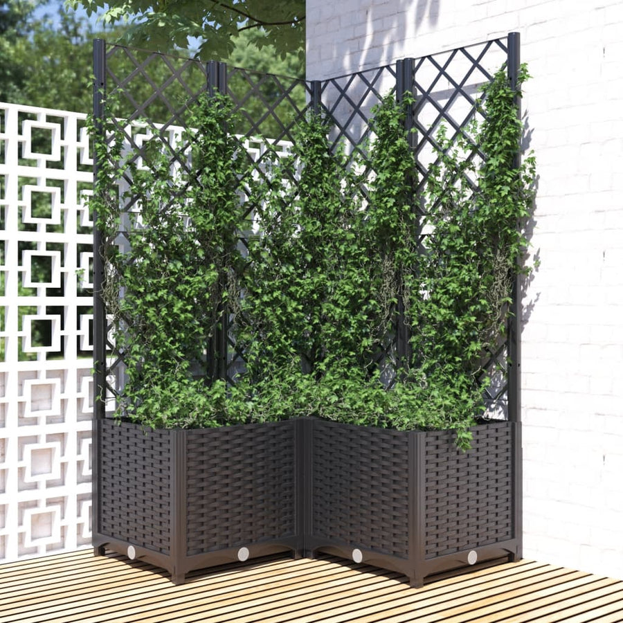 Plantenbak Met Latwerk Polypropeen 80 x 80 x 136 cm Zwart