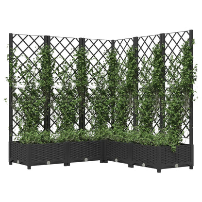 Plantenbak Met Latwerk 20X20X2,5 Cm Polypropeen 120 x 120 x 121.5 cm Zwart