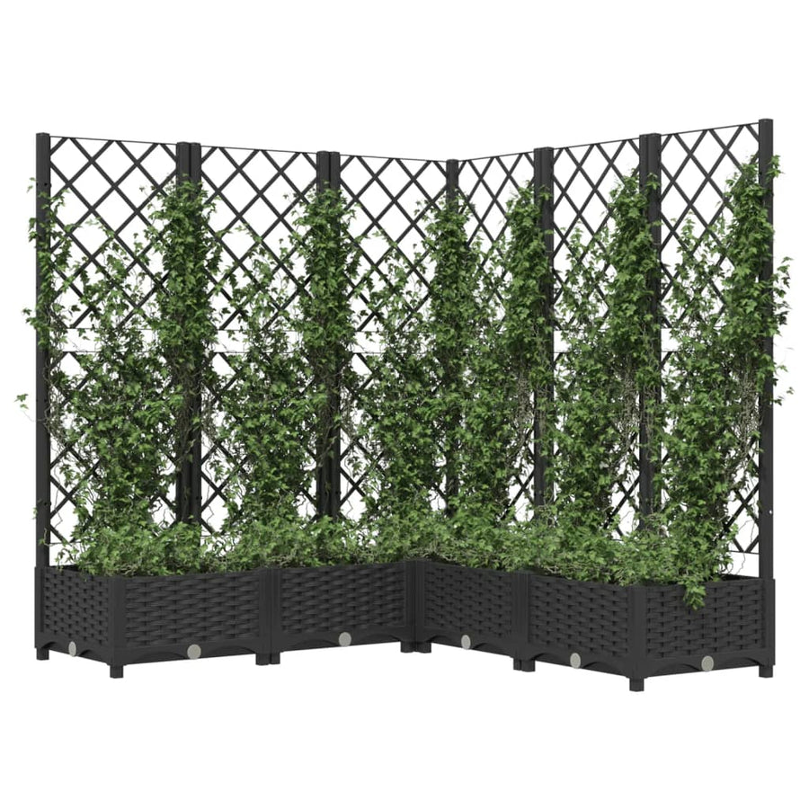 Plantenbak Met Latwerk 20X20X2,5 Cm Polypropeen 120 x 120 x 121.5 cm Zwart