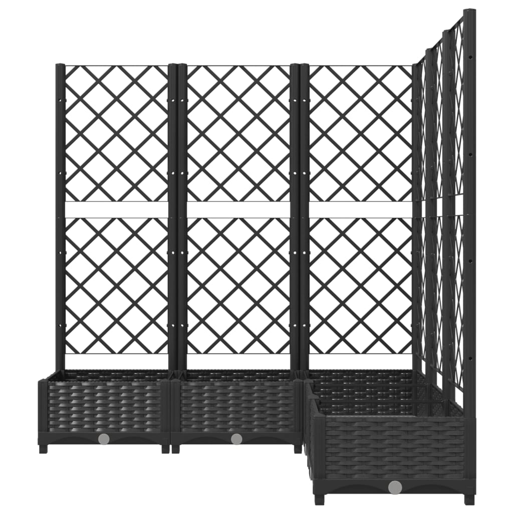 Plantenbak Met Latwerk 20X20X2,5 Cm Polypropeen 120 x 120 x 121.5 cm Zwart