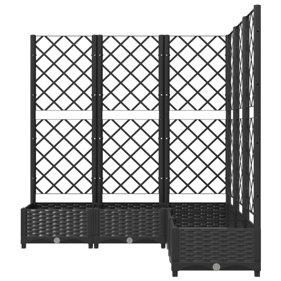 Plantenbak Met Latwerk 20X20X2,5 Cm Polypropeen 120 x 120 x 121.5 cm Zwart