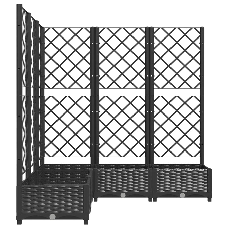 Plantenbak Met Latwerk 20X20X2,5 Cm Polypropeen 120 x 120 x 121.5 cm Zwart