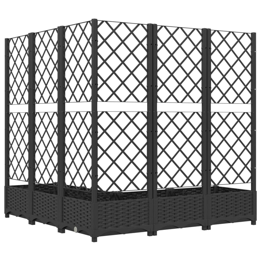 Plantenbak Met Latwerk 20X20X2,5 Cm Polypropeen 120 x 120 x 121.5 cm Zwart