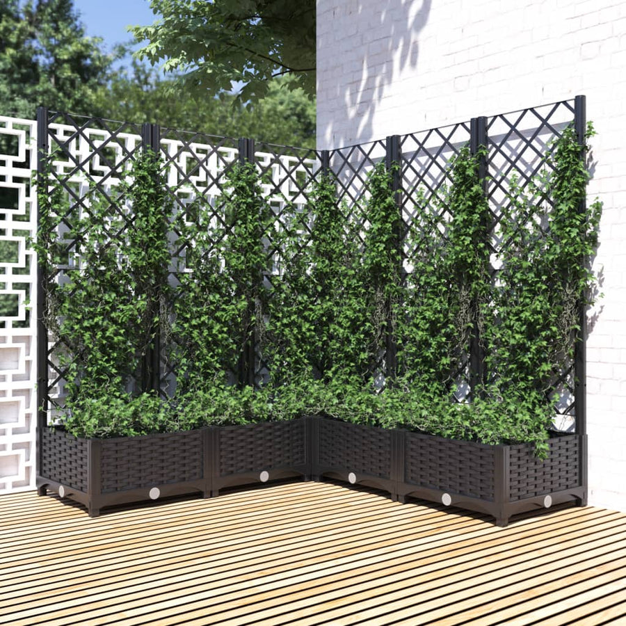 Plantenbak Met Latwerk 20X20X2,5 Cm Polypropeen 120 x 120 x 121.5 cm Zwart