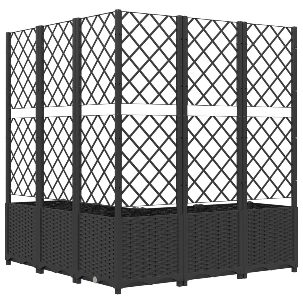 Plantenbak Met Latwerk Polypropeen 120 x 120 x 136 cm Zwart