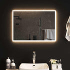 Bathroom Mirror LED 70x50 cm