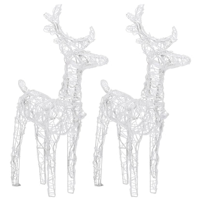 Kerstrendieren 2 St 80 Led's Acryl Koudwit