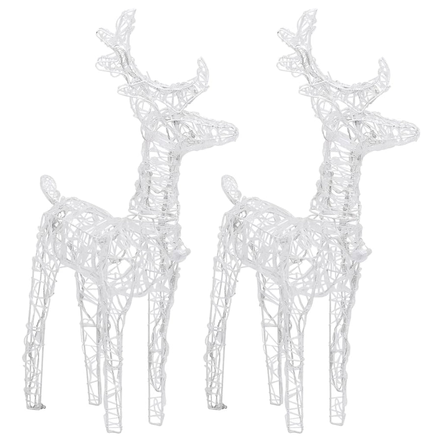 Kerstrendieren 2 St 80 Led's Acryl Koudwit