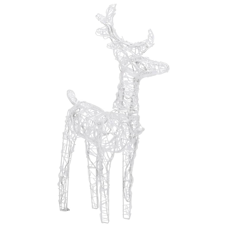 Kerstrendieren 2 St 80 Led's Acryl Koudwit