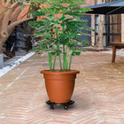 Plantentrolley Met Wielen 170 Kg Diameter 30 Cm Zwart