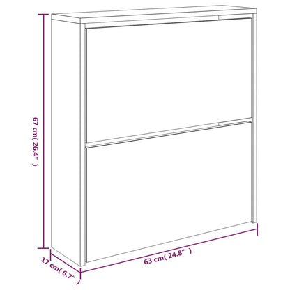 Schoenenkast met spiegel 2-laags 63x17x67 cm zwart 63 x 17 x 67 cm Zwart