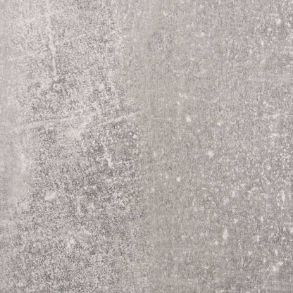 Schoenenkast met spiegel 2-laags 63x17x67 cm betongrijs 63 x 17 x 67 cm Betongrijs