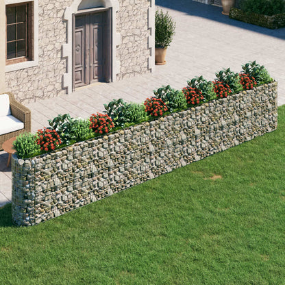 Gabion Plantenbak Verhoogd 610X50X100 Cm Gegalvaniseerd Ijzer