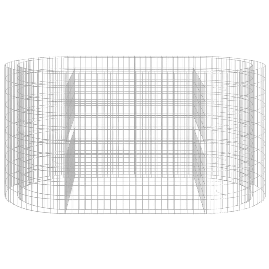 Gabion Plantenbak Verhoogd 200X100X100 Cm Gegalvaniseerd Ijzer