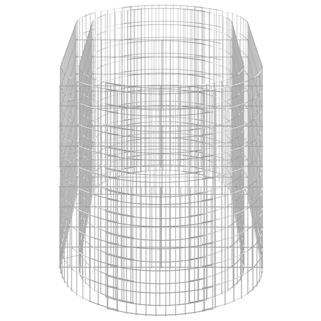 Gabion Plantenbak Verhoogd 200X100X100 Cm Gegalvaniseerd Ijzer