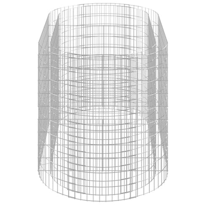 Gabion Plantenbak Verhoogd 200X100X100 Cm Gegalvaniseerd Ijzer