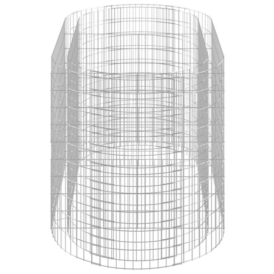 Gabion Plantenbak Verhoogd 200X100X100 Cm Gegalvaniseerd Ijzer