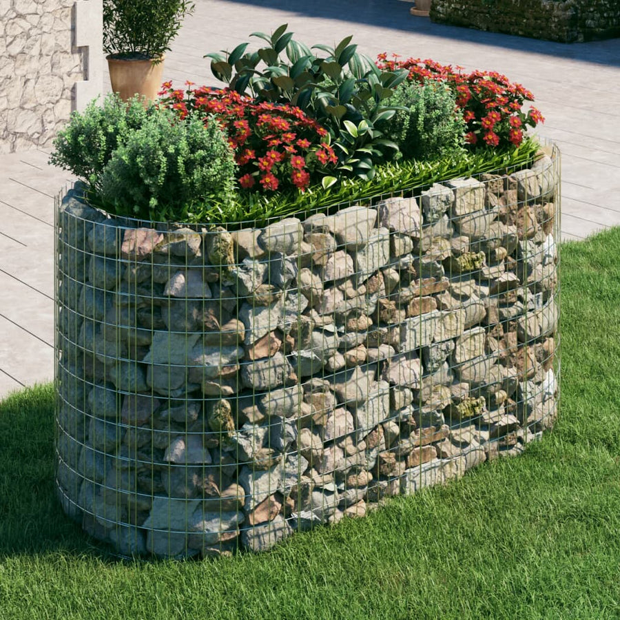 Gabion Plantenbak Verhoogd 200X100X100 Cm Gegalvaniseerd Ijzer