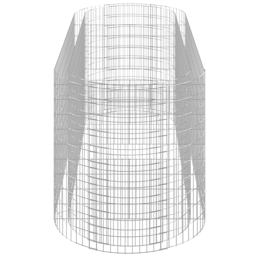 Gabion Plantenbak Verhoogd 300X100X100 Cm Gegalvaniseerd Ijzer