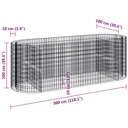 Gabion Plantenbak Verhoogd 300X100X100 Cm Gegalvaniseerd Ijzer