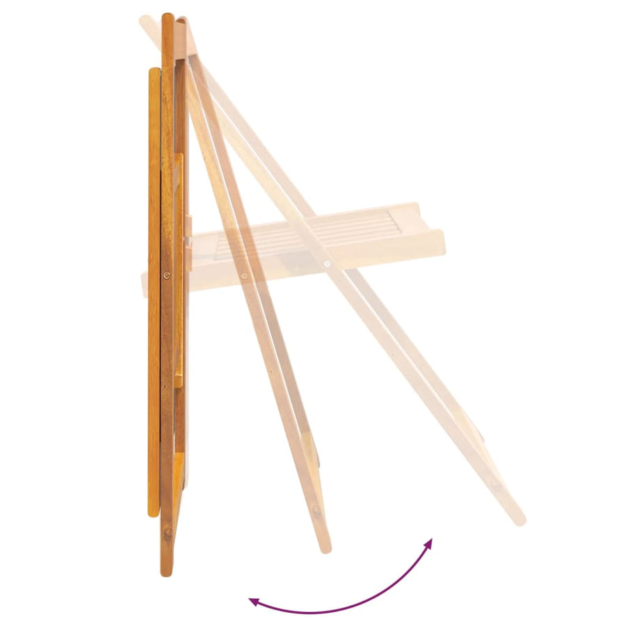 Tuinstoelen Inklapbaar Massief Acaciahout 4