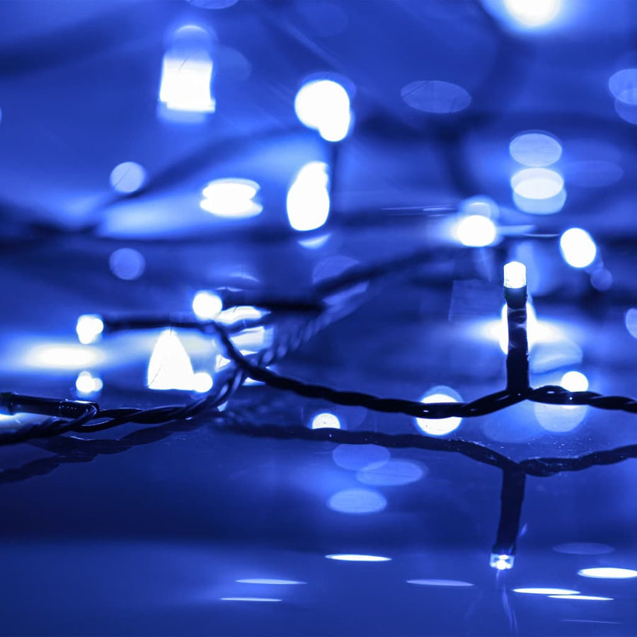 Lichtslinger met 600 LED's blauw 60 m PVC 60 m Blauw en donkergroen