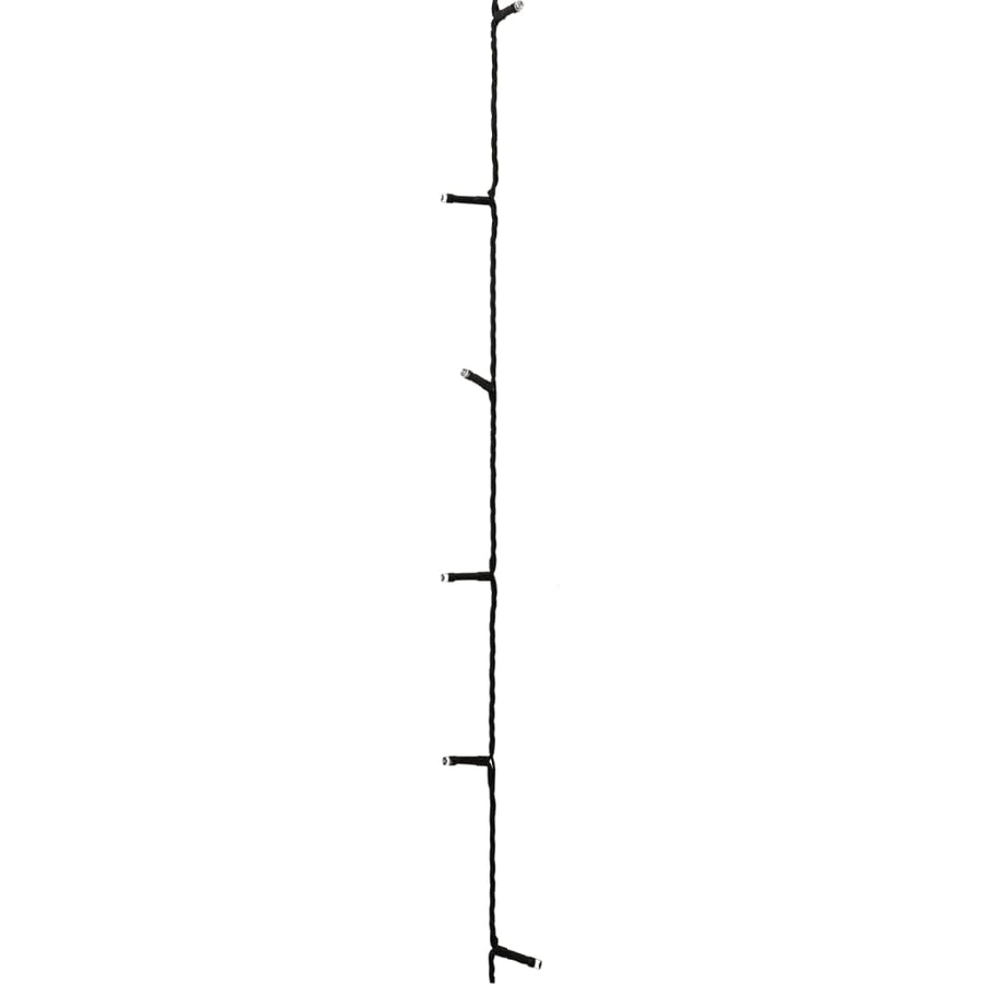 Lichtslinger met 1000 LED's meerkleurig 100 m PVC 100 m Meerkleurig en donkergroen