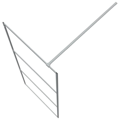 Inloopdouchewand 80x195 cm transparant ESG-glas zilverkleurig 80 x 195 cm Zilver