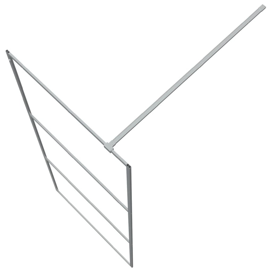 Inloopdouchewand 80x195 cm transparant ESG-glas zilverkleurig 80 x 195 cm Zilver
