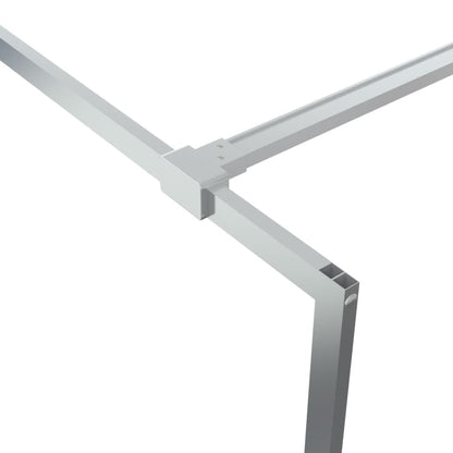 Inloopdouchewand 80x195 cm transparant ESG-glas zilverkleurig 80 x 195 cm Zilver