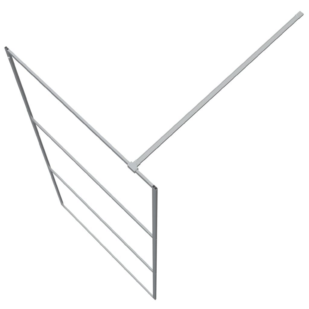 Inloopdouchewand 90x195 cm transparant ESG-glas zilverkleurig 90 x 195 cm Zilver
