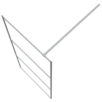 Inloopdouchewand 90x195 cm transparant ESG-glas zilverkleurig 90 x 195 cm Zilver