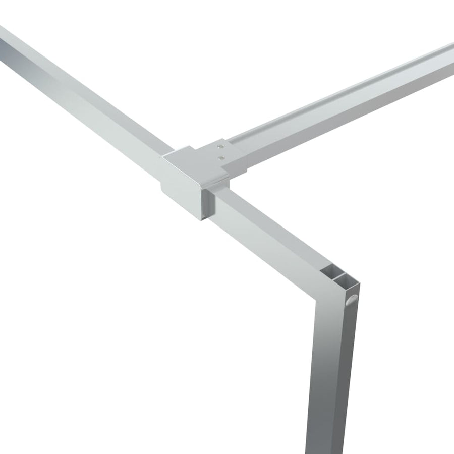 Inloopdouchewand 90x195 cm transparant ESG-glas zilverkleurig 90 x 195 cm Zilver