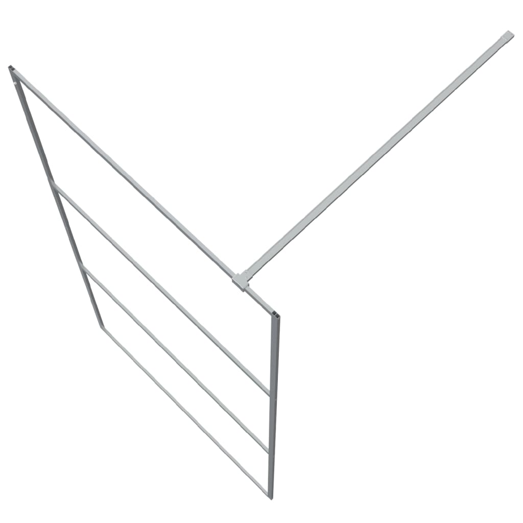 Inloopdouchewand Transparant Esg-Glas Kleurig 100 x 195 cm Zilver
