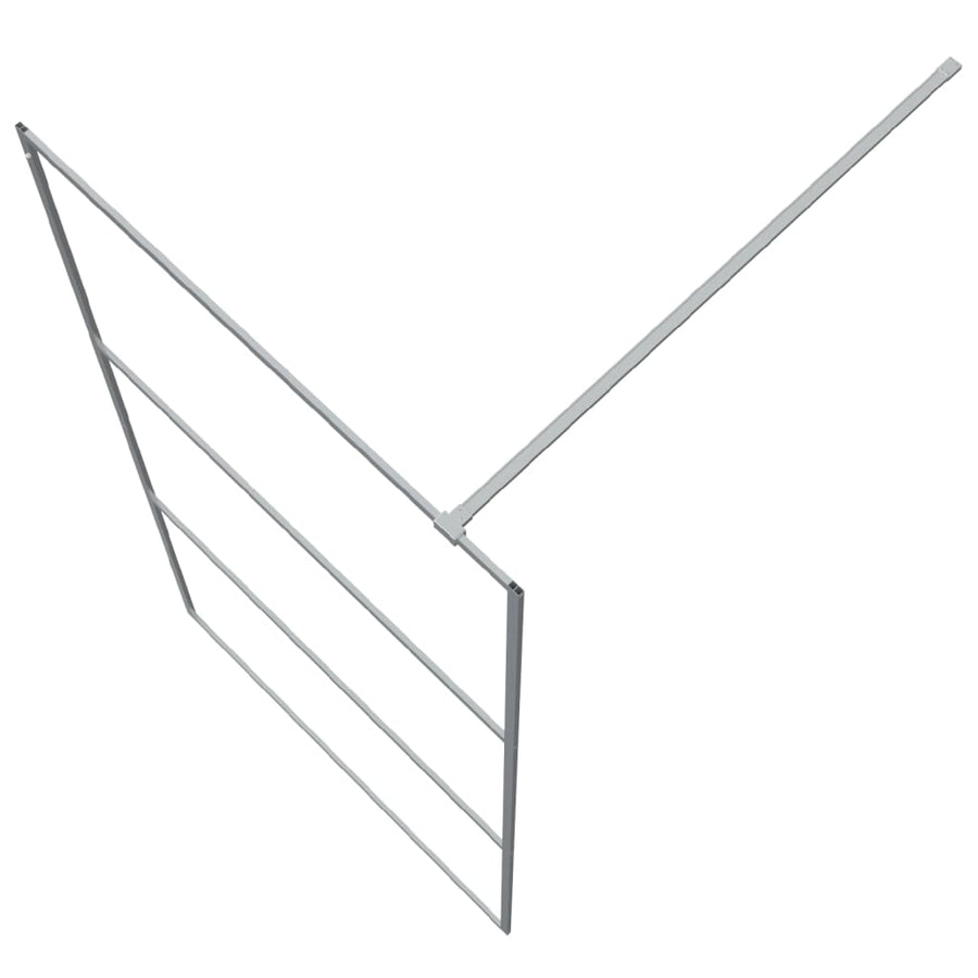 Inloopdouchewand Transparant Esg-Glas Kleurig 100 x 195 cm Zilver